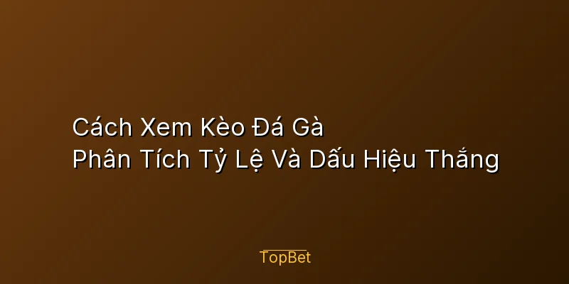 Cách Xem Kèo Đá Gà – Phân Tích Tỷ Lệ Và Dấu Hiệu Thắng