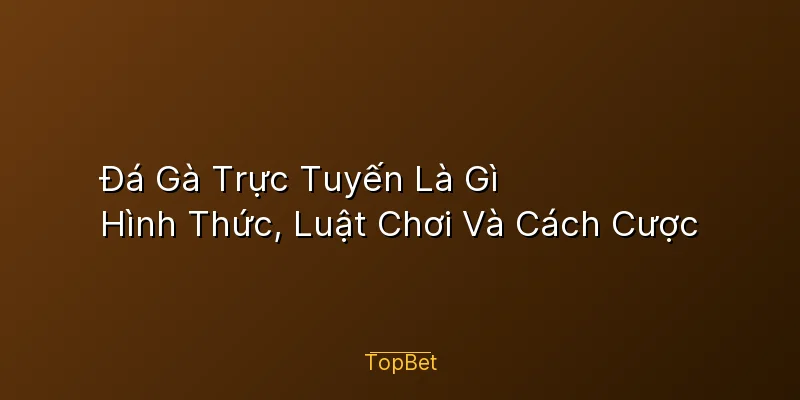 Đá Gà Trực Tuyến Là Gì – Hình Thức, Luật Chơi Và Cách Cược