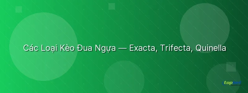 Các Loại Kèo Đua Ngựa — Exacta, Trifecta, Quinella Các Loại Kèo Đua Ngựa TopBet — Exacta, Trifecta, Quinella - đua ngựa
