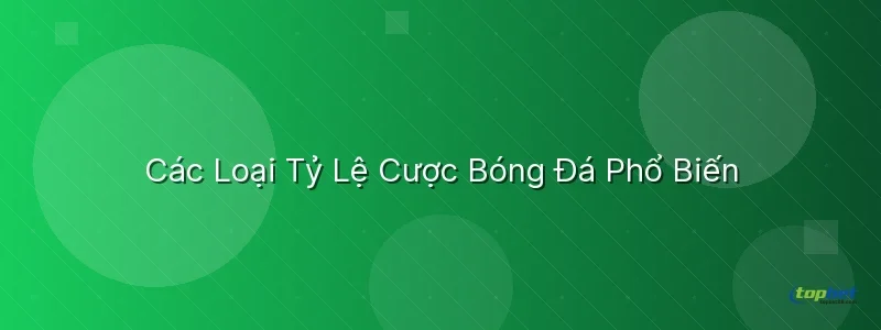Các Loại Tỷ Lệ Cược Bóng Đá Phổ Biến Các Loại Tỷ Lệ Cược Bóng Đá Phổ Biến - tỷ lệ cược bóng đá