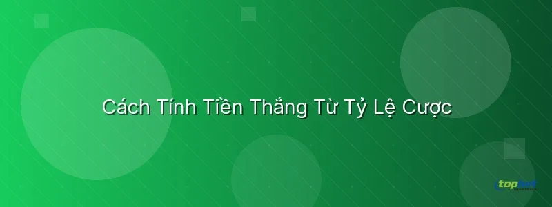 Cách Tính Tiền Thắng Từ Tỷ Lệ Cược Cách Tính Tiền Thắng Từ Tỷ Lệ Cược - tỷ lệ cược bóng đá