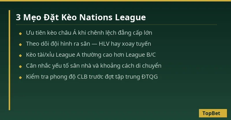 Cá Cược Nations League – Thể Thức, Lịch Thi Đấu Và Hướng Dẫn Đặt Kèo 2 3 mẹo đặt kèo Nations League hiệu quả tại TopBet
