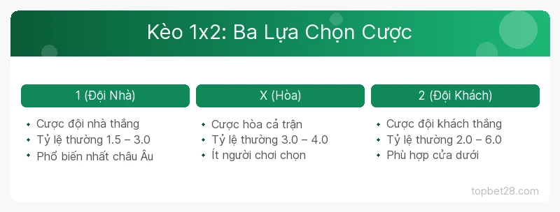 Kèo Châu Âu 1x2 Là Gì? Cách Đọc Kèo Và Tính Tiền Thắng Cược 1 Kèo châu Âu 1x2 là gì — Kèo 1x2: Ba Lựa Chọn Cược TopBet