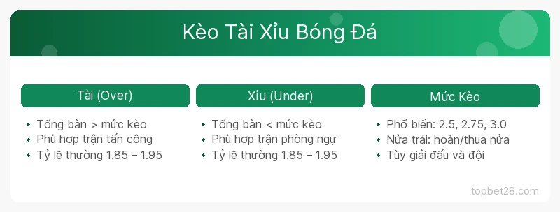 Kèo Tài Xỉu Bóng Đá Là Gì? Hướng Dẫn Đọc Kèo Over/Under Chi Tiết 1 Kèo tài xỉu bóng đá là gì — Kèo Tài Xỉu Bóng Đá TopBet
