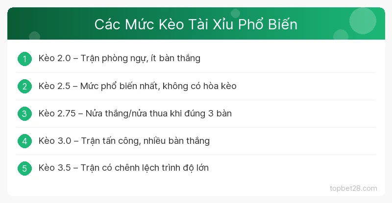 Kèo Tài Xỉu Bóng Đá Là Gì? Hướng Dẫn Đọc Kèo Over/Under Chi Tiết 2 Các Mức Kèo Tài Xỉu Phổ Biến TopBet
