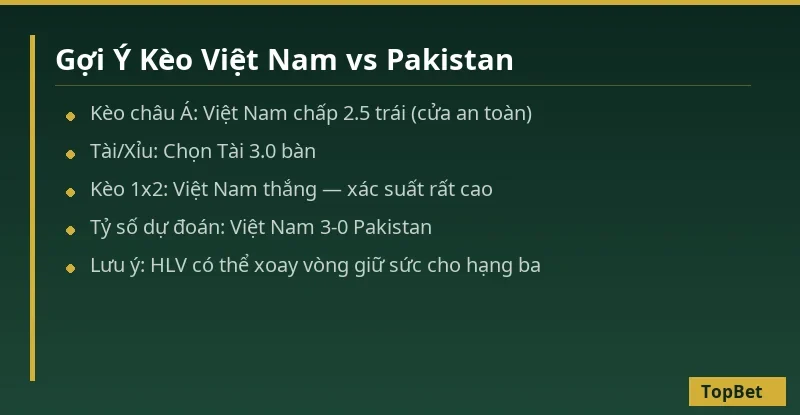 Soi Kèo Việt Nam vs Pakistan – Nhận Định ASEAN Cup 02/10/2026 2 Gợi ý kèo Việt Nam vs Pakistan – Dự đoán tỷ số TopBet