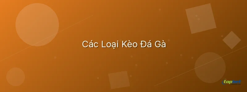 Cách xem kèo đá gà – Các Loại Kèo Đá Gà
