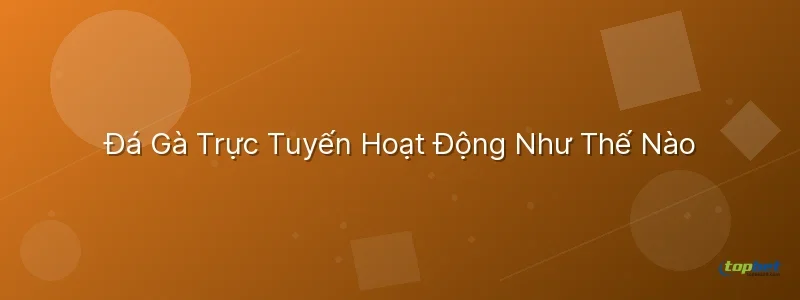 đá gà trực tuyến là gì – Đá Gà Trực Tuyến Là Gì — Hoạt Động Như Thế Nào