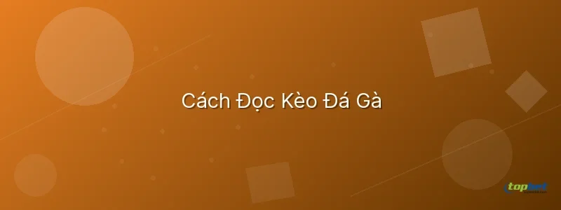 đá gà trực tuyến là gì – Cách Đọc Kèo Đá Gà