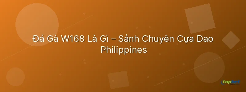 đá gà w168 topbet – Đá Gà W168 TopBet Là Gì – Sảnh Chuyên Cựa Dao Philippines